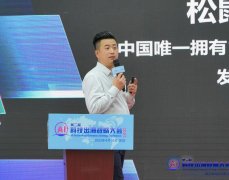 到近两年大模子迅